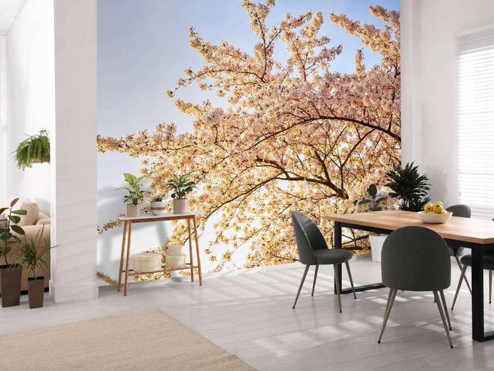 Gałąź kwitnąca w rozkwicie