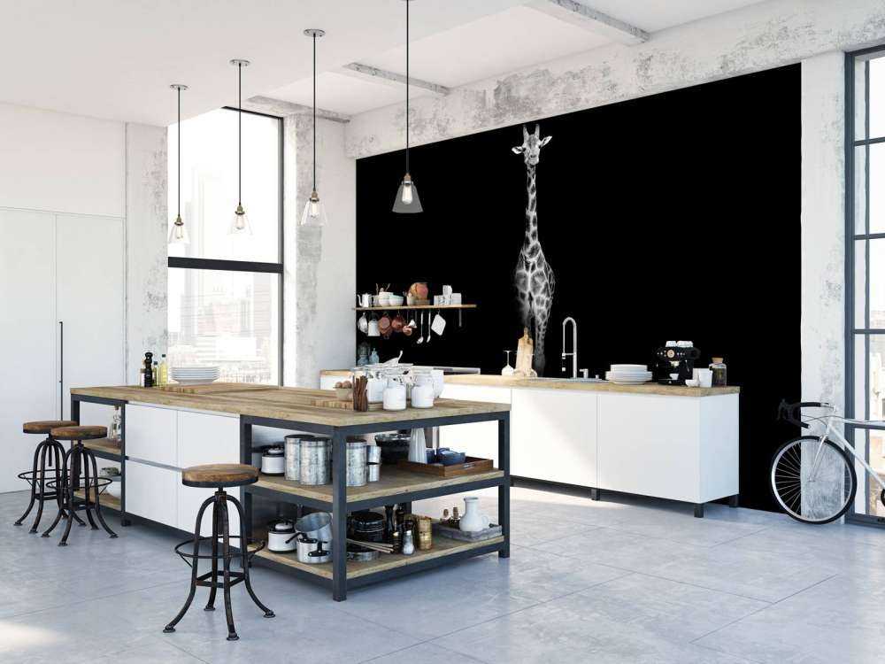 Żyrafa czarno-biała