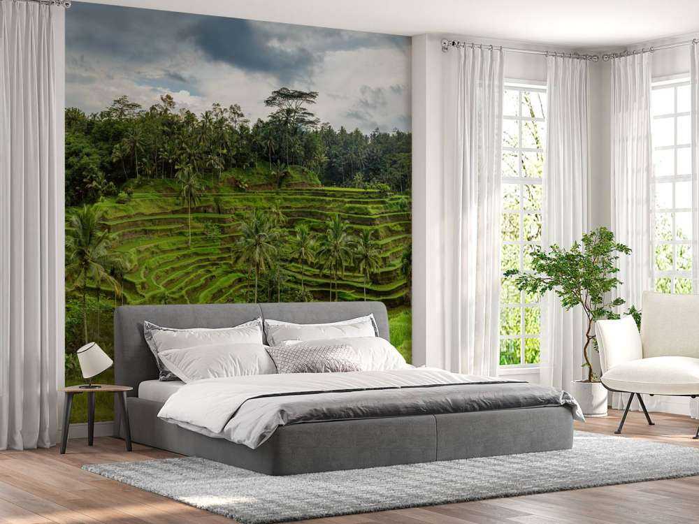 Tajlandzkie pola ryżowe