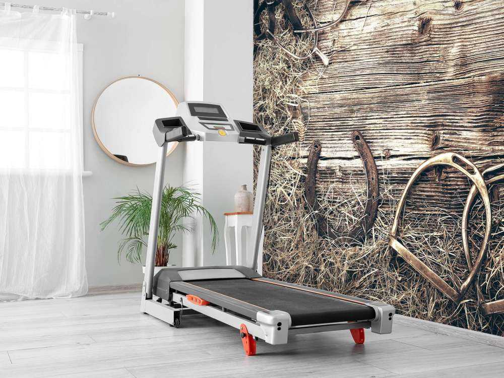 Wyposażenie dla koni