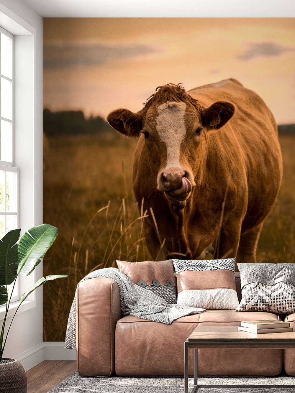 Krowa z językiem w nosie