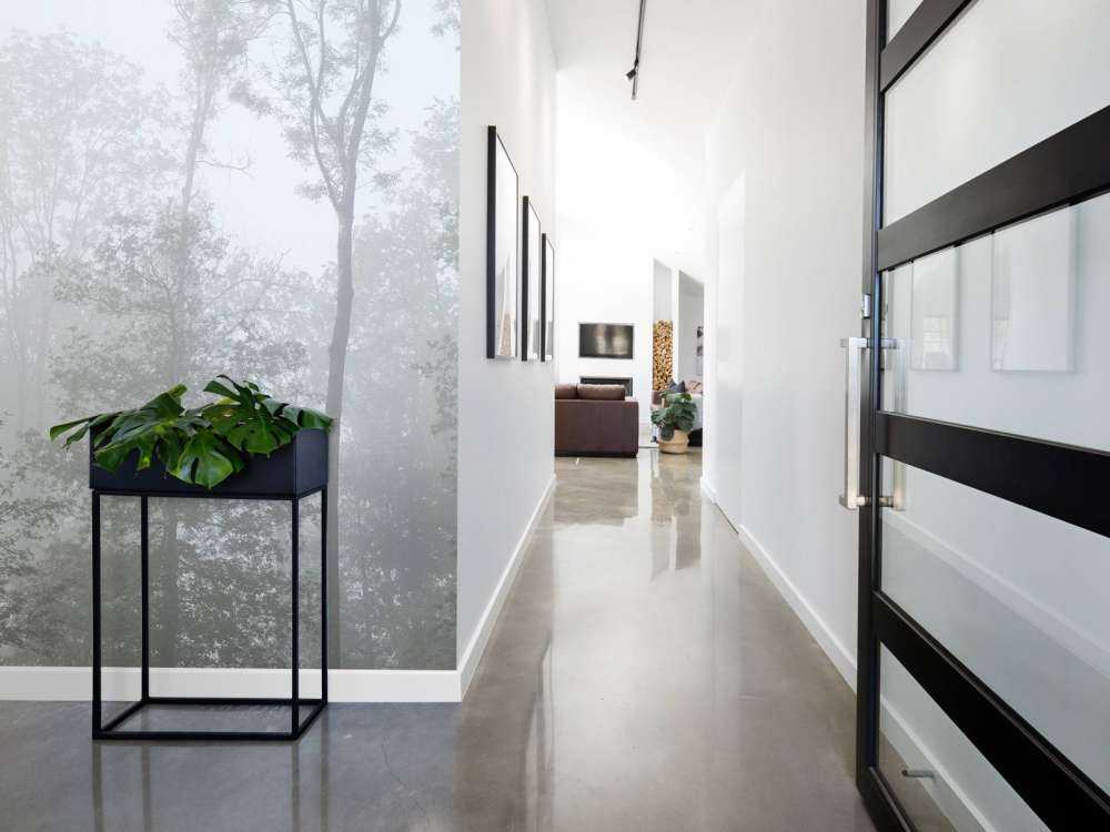 Gęsta mgła w lesie