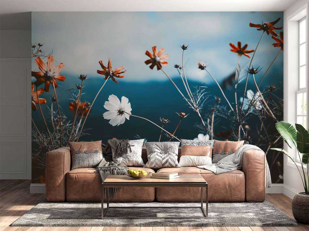 Kwiaty kosmosu w polu