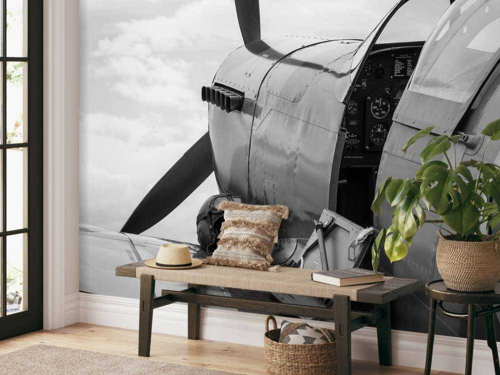 Stary samolot myśliwski