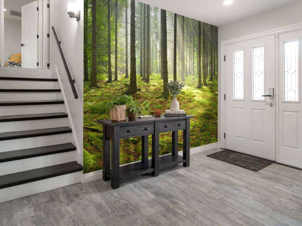 Las świerkowy ze światłem słonecznym