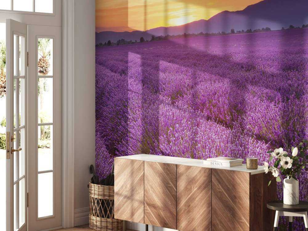 Pole pełne lawendy.