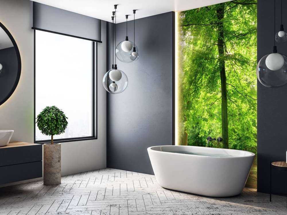 Las z lekką mgiełką