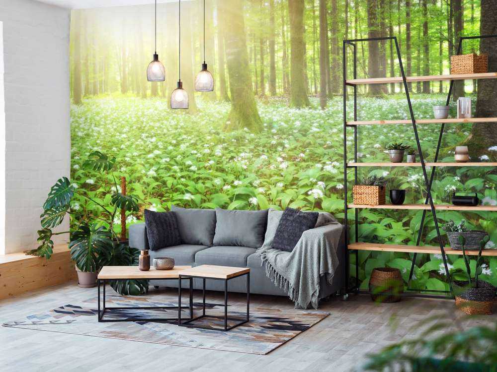 Dziki las o wschodzie słońca