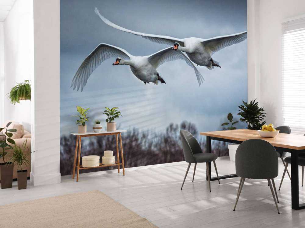 Latające łabędzie