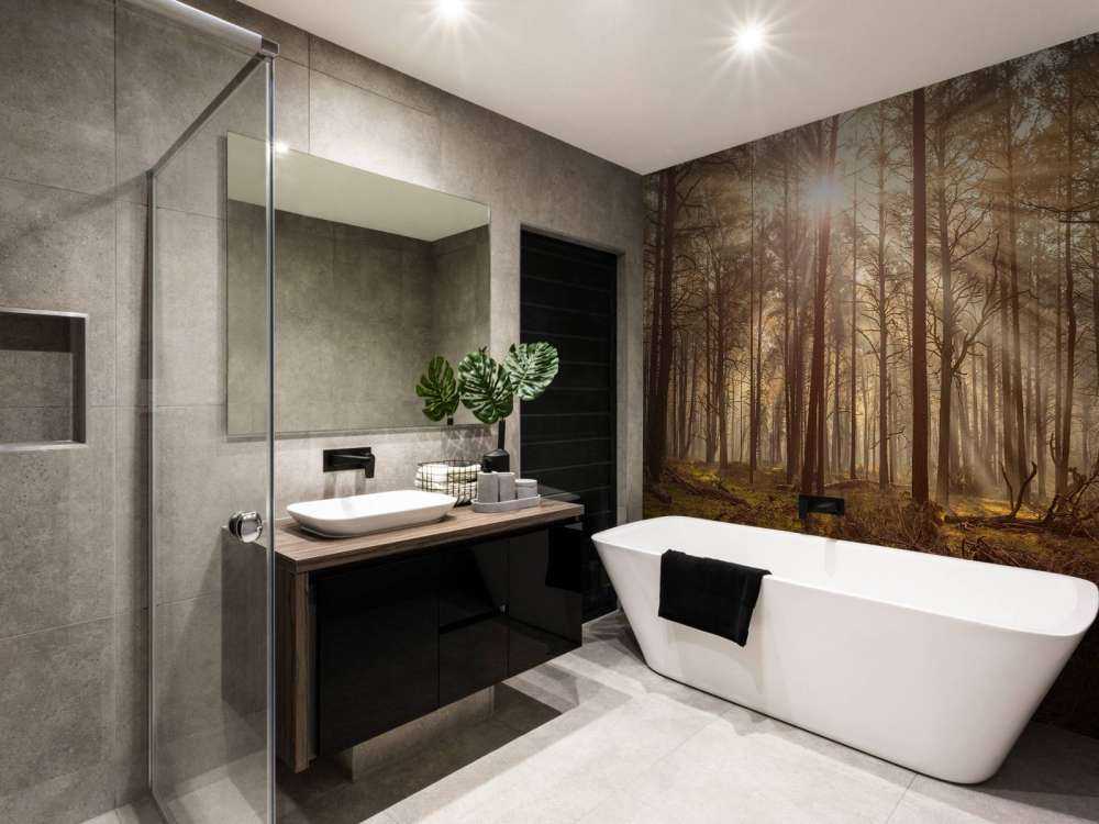 Las z wysokimi drzewami