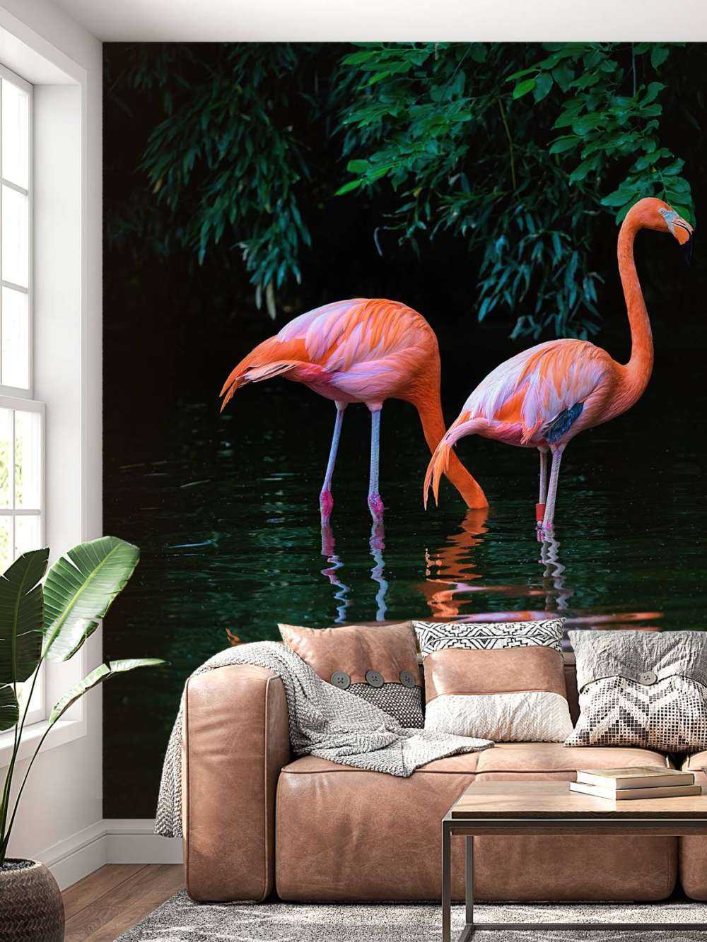 Dwa karaibskie flamingi