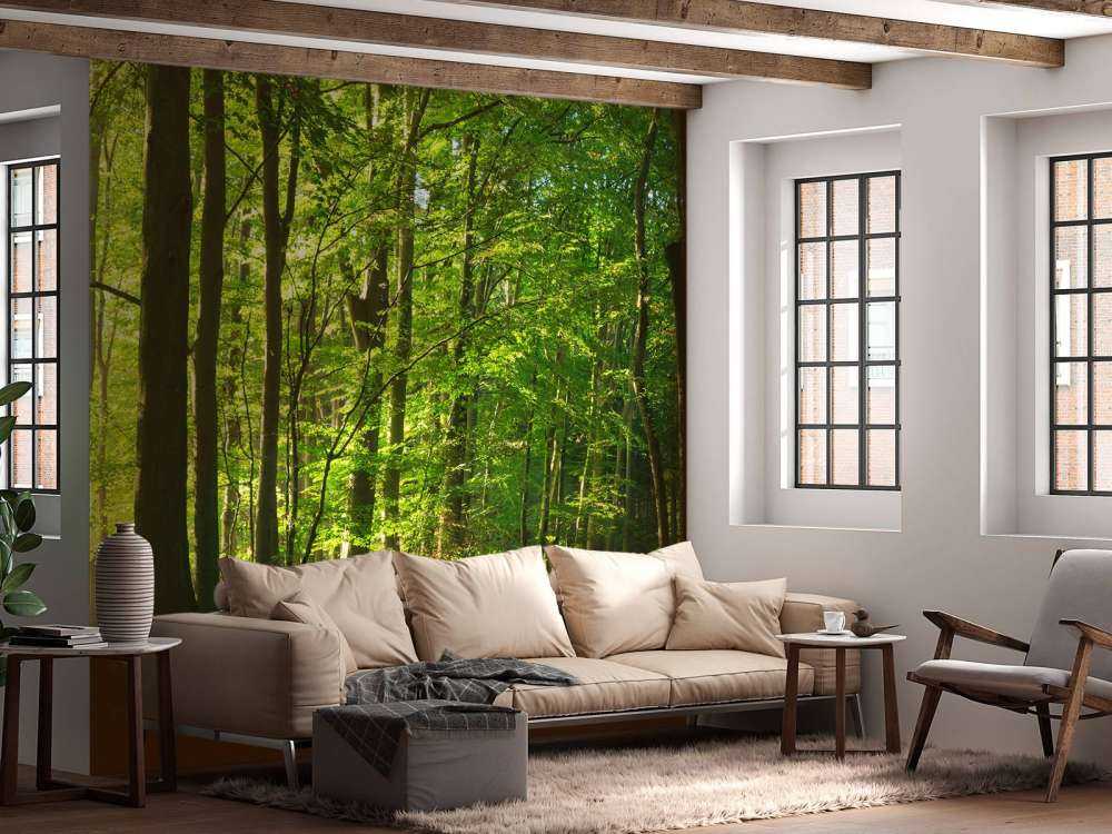 Słoneczna droga przez las