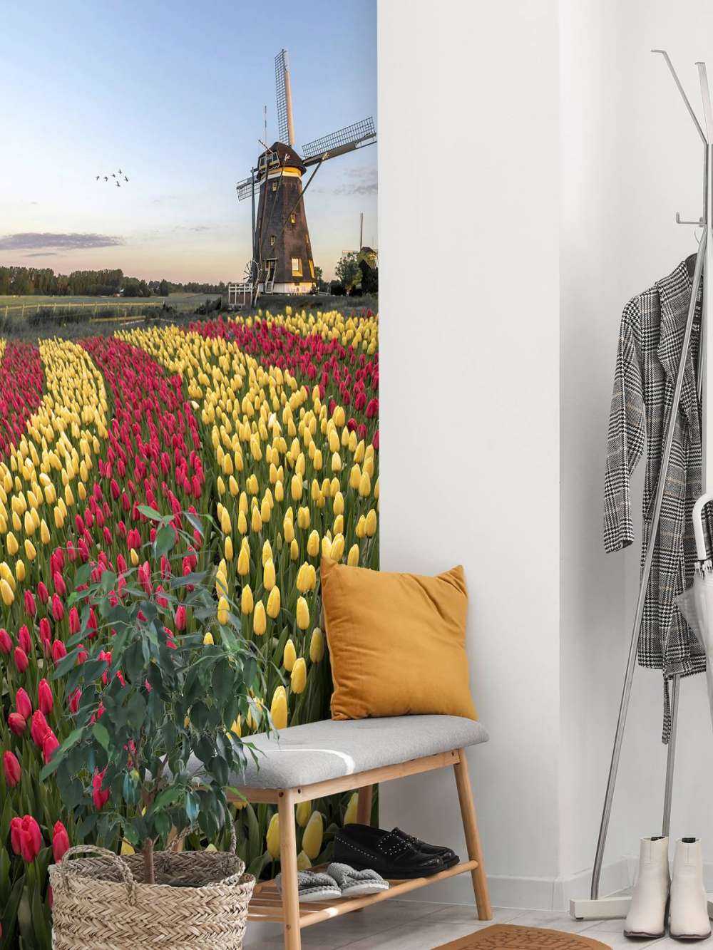 Holenderskie pole tulipanów