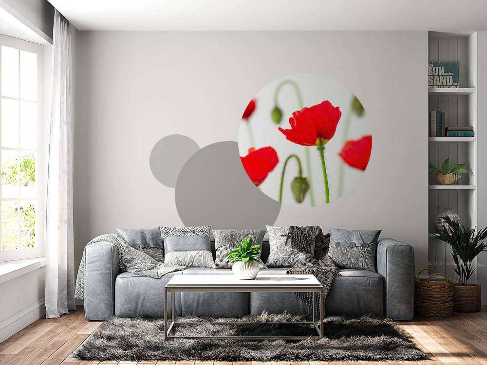 Zbliżenie na czerwone maki