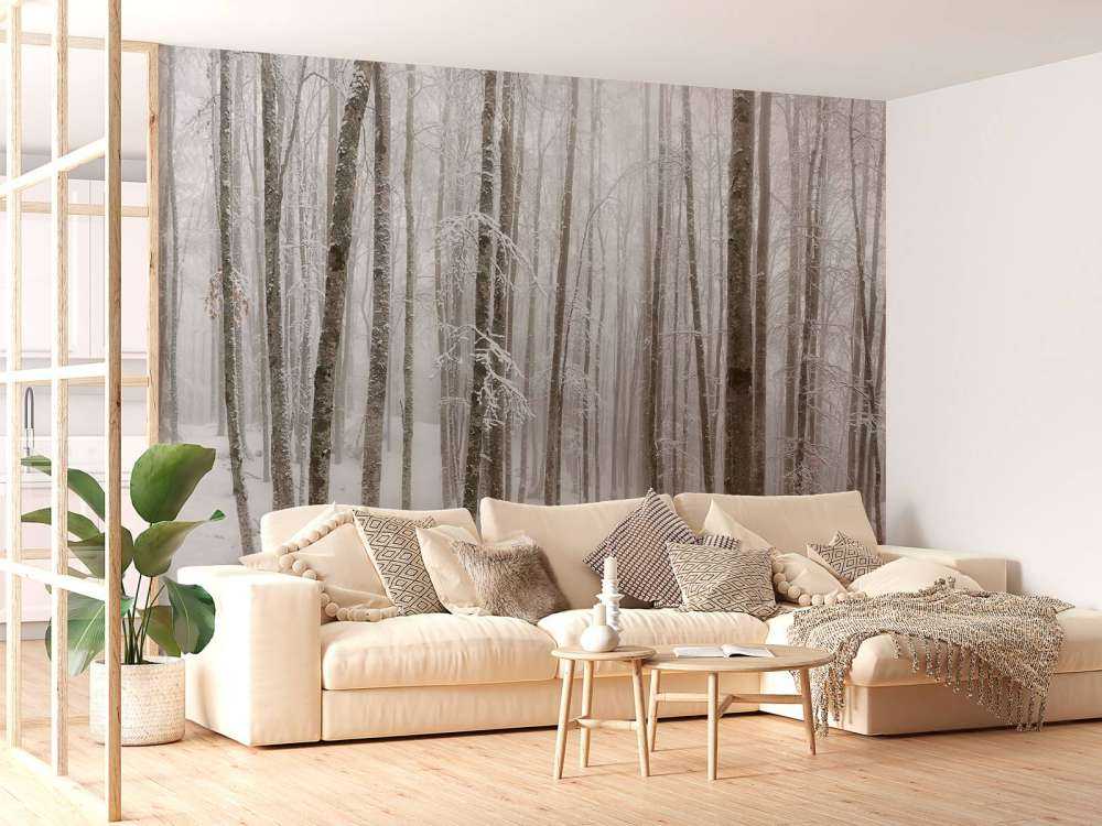 Śnieg w lesie bukowym