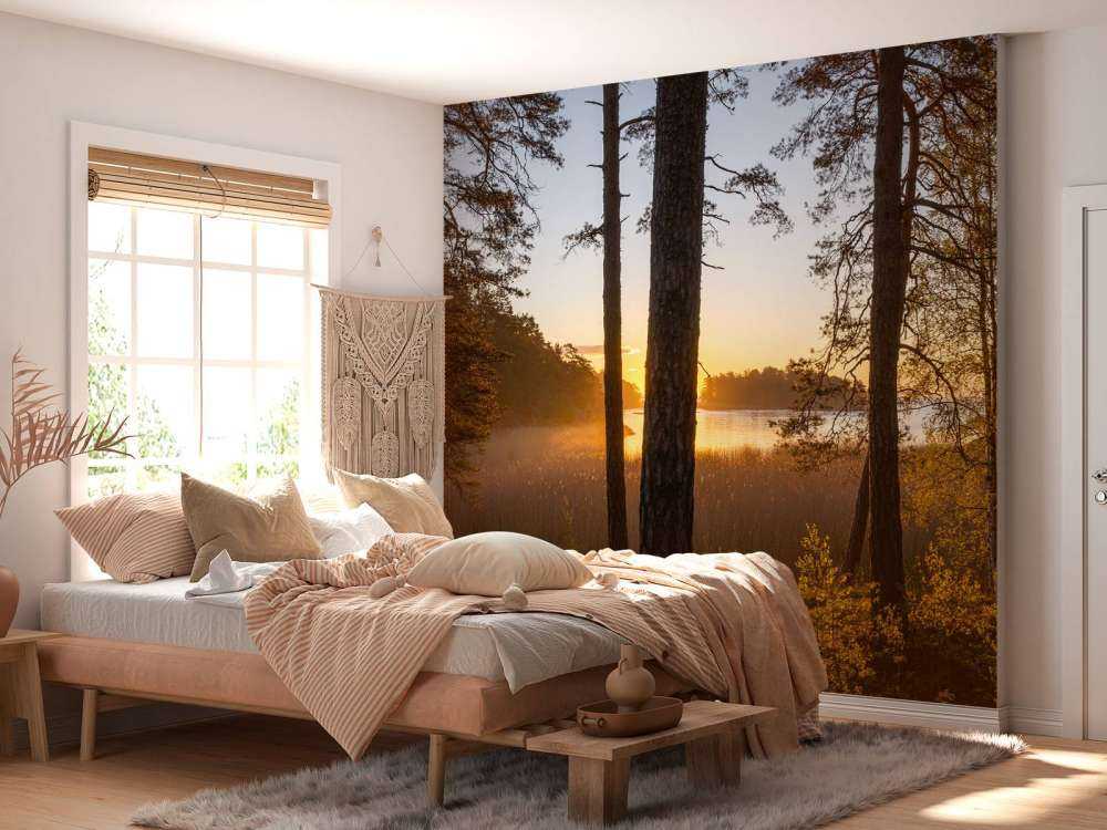 Las o zachodzie słońca