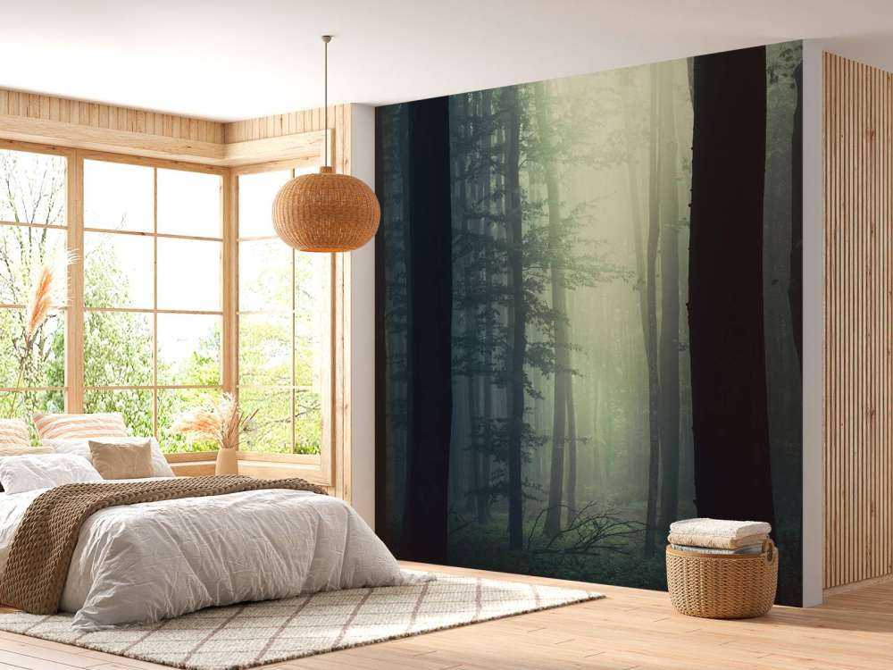 Promień słońca w lesie