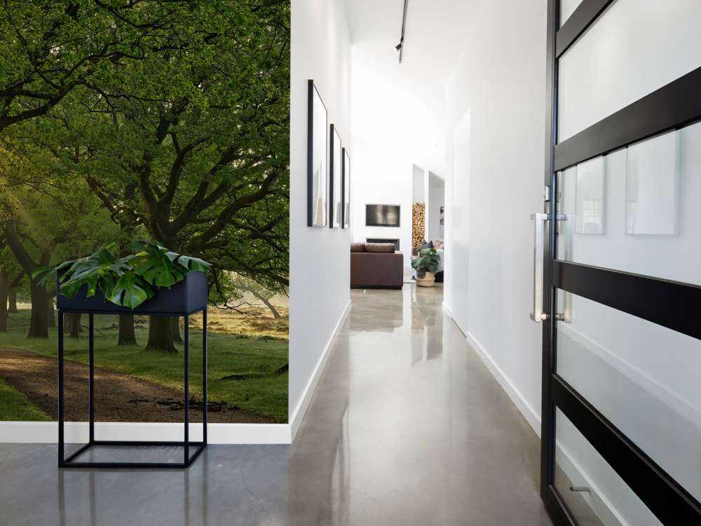 Ścieżka między dębami