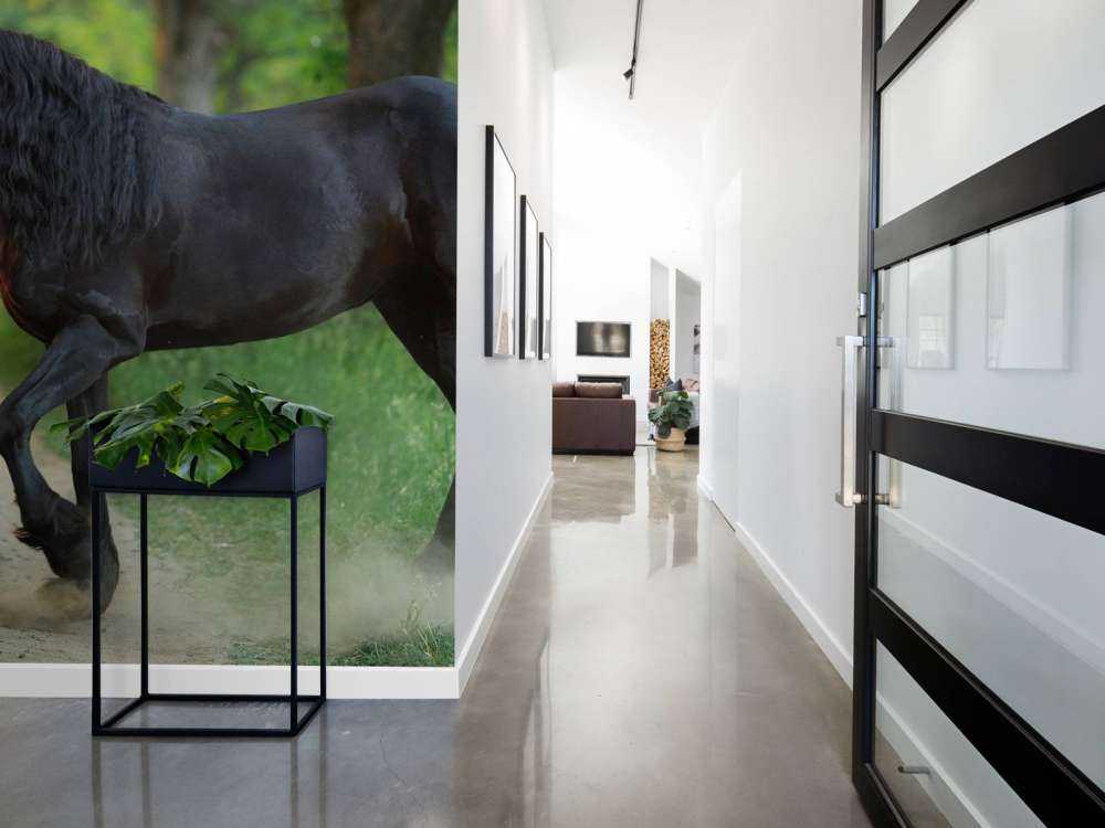 Naszkicowane jednorożce