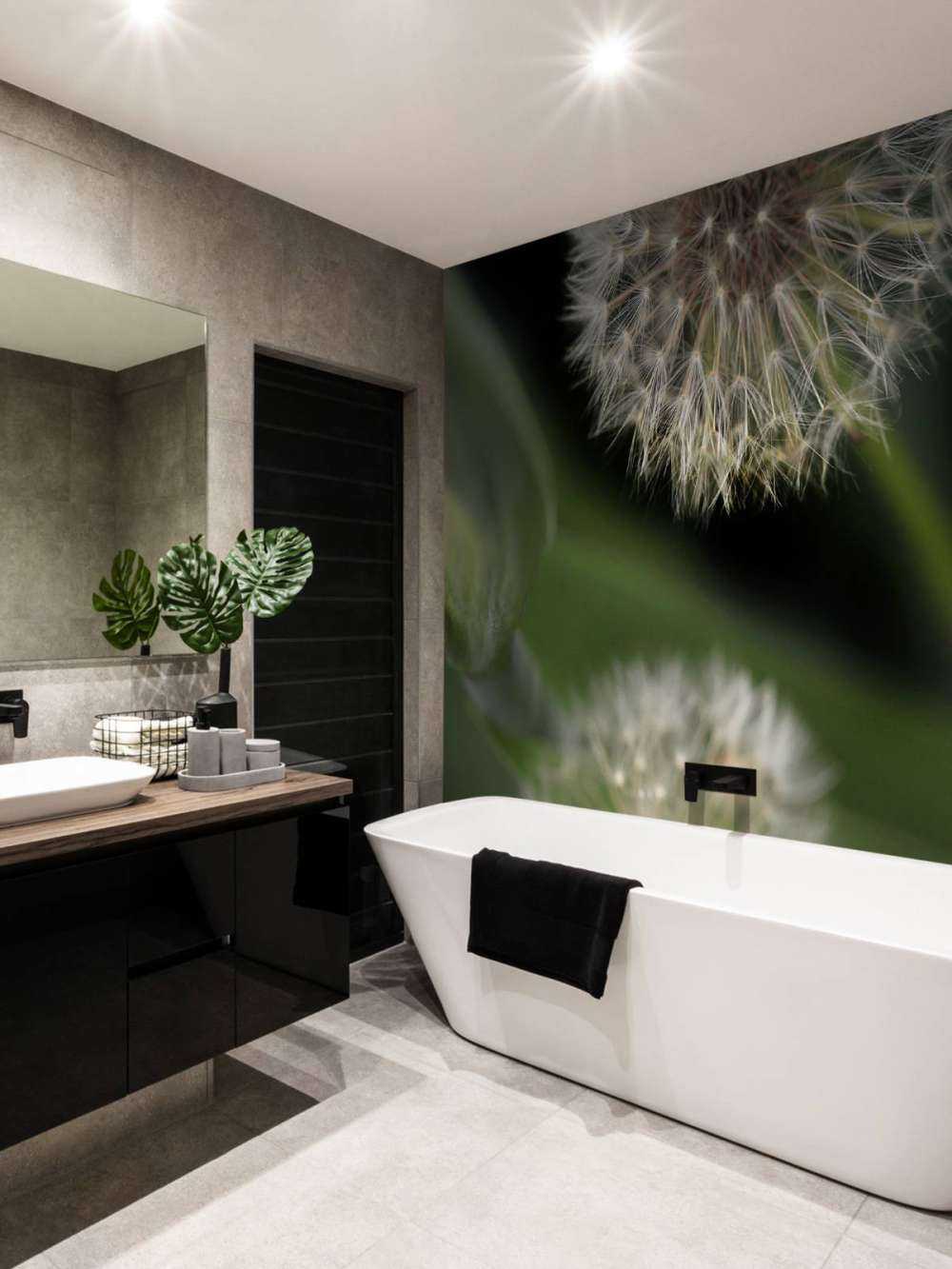 Zbliżenie na mniszki lekarskie