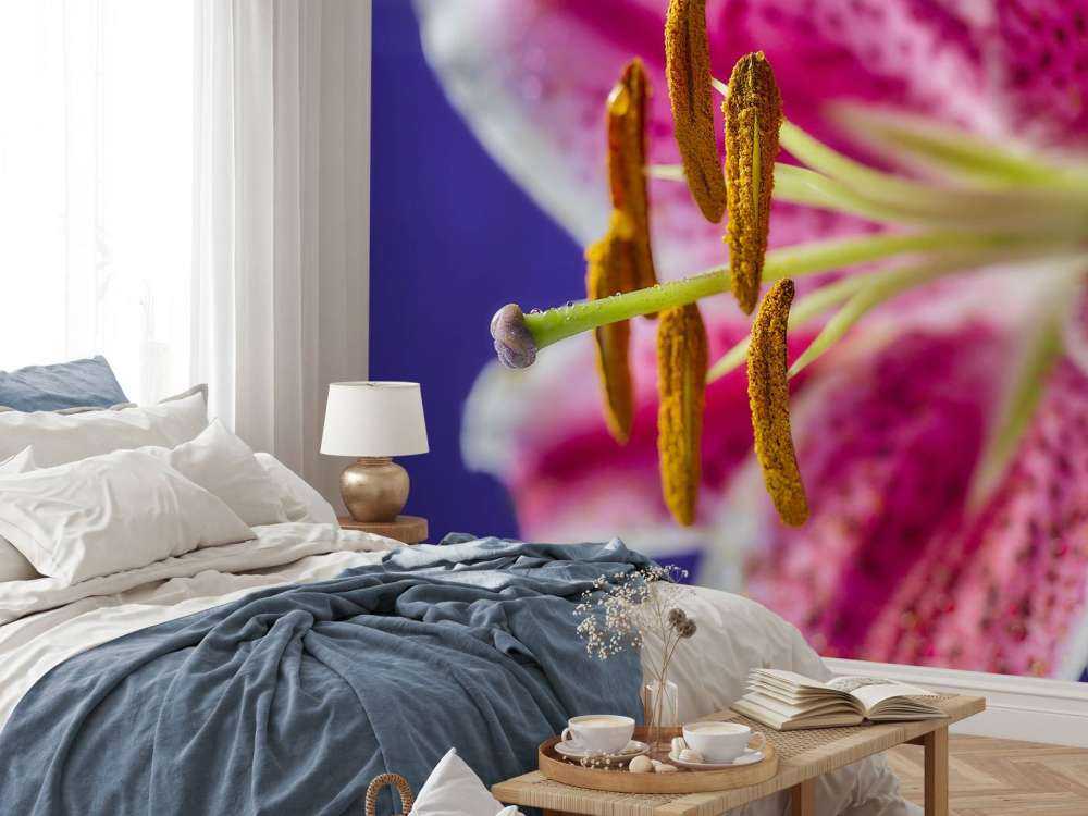 Zbliżenie na różowy kwiat