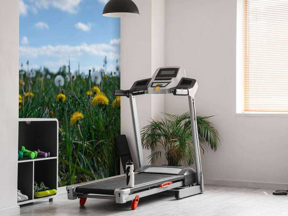 Żółte mniszki lekarskie