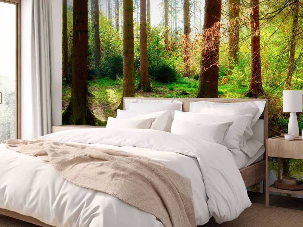 Jesienny las z jasnym światłem słonecznym