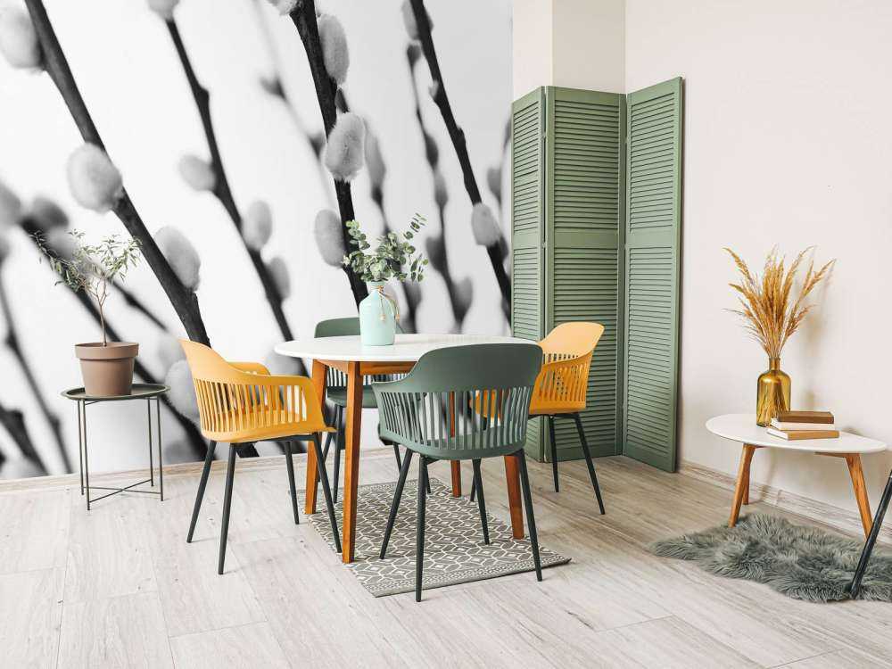 Wierzba leśna w czerni i bieli