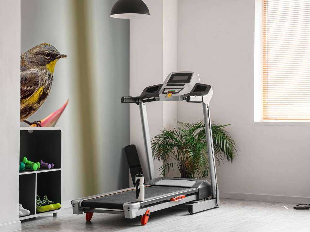 Rajski kwiat z ptakiem