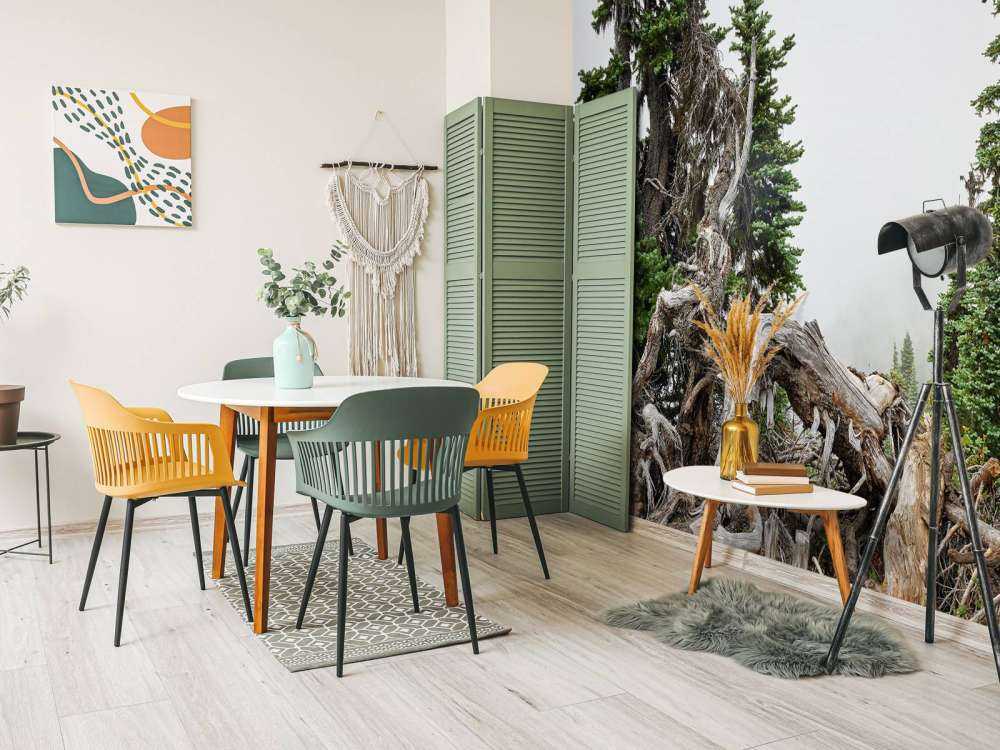 Drzewa i stare drzewa 