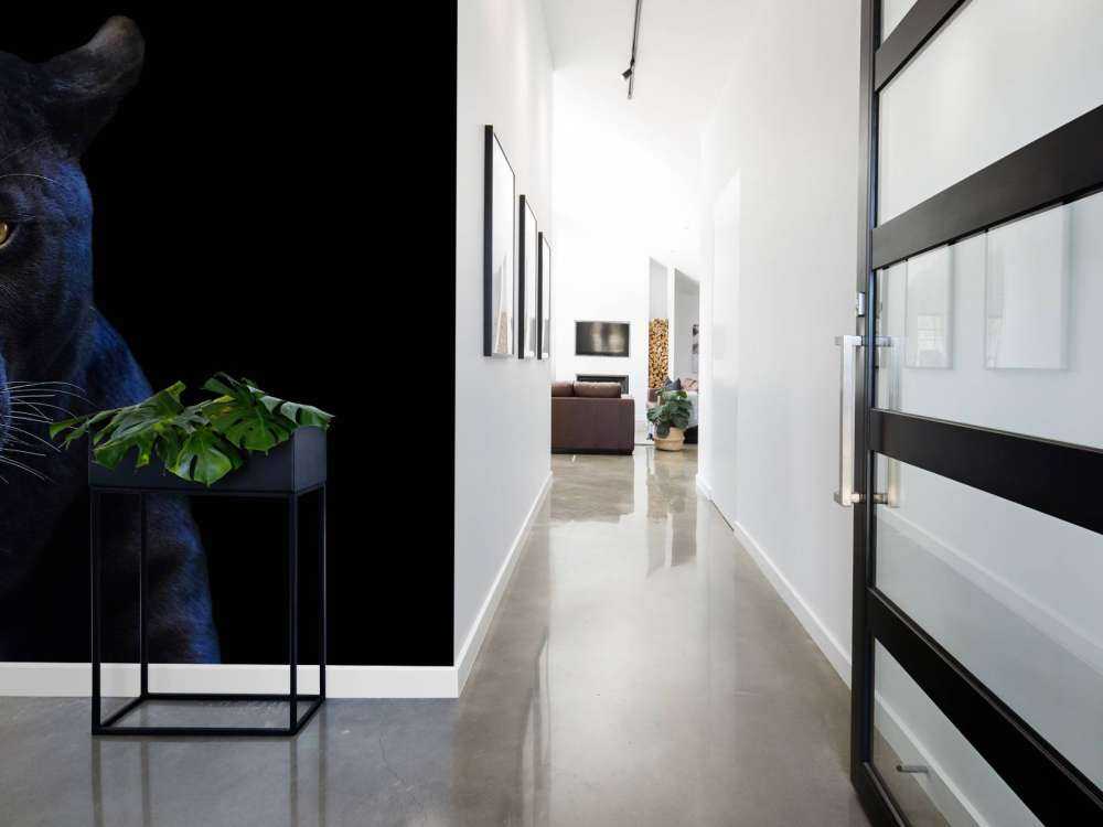 Zbliżenie na panterę