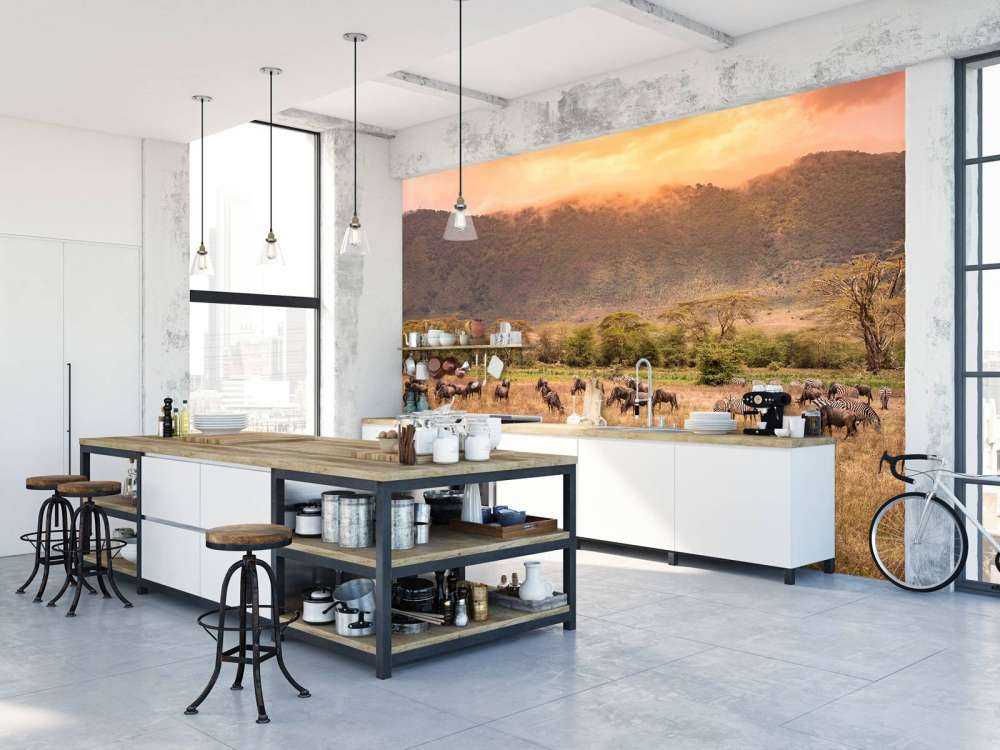 Krajobraz sawanny z zebrami