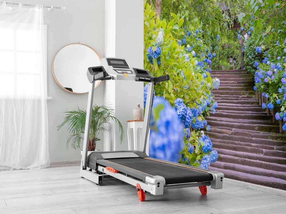 Niebieskie kwiaty w parku