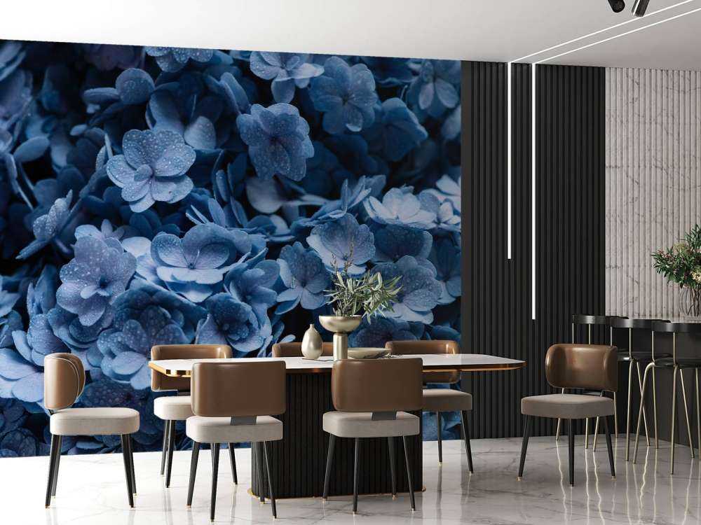 Błękitne hortensje w zbliżeniu