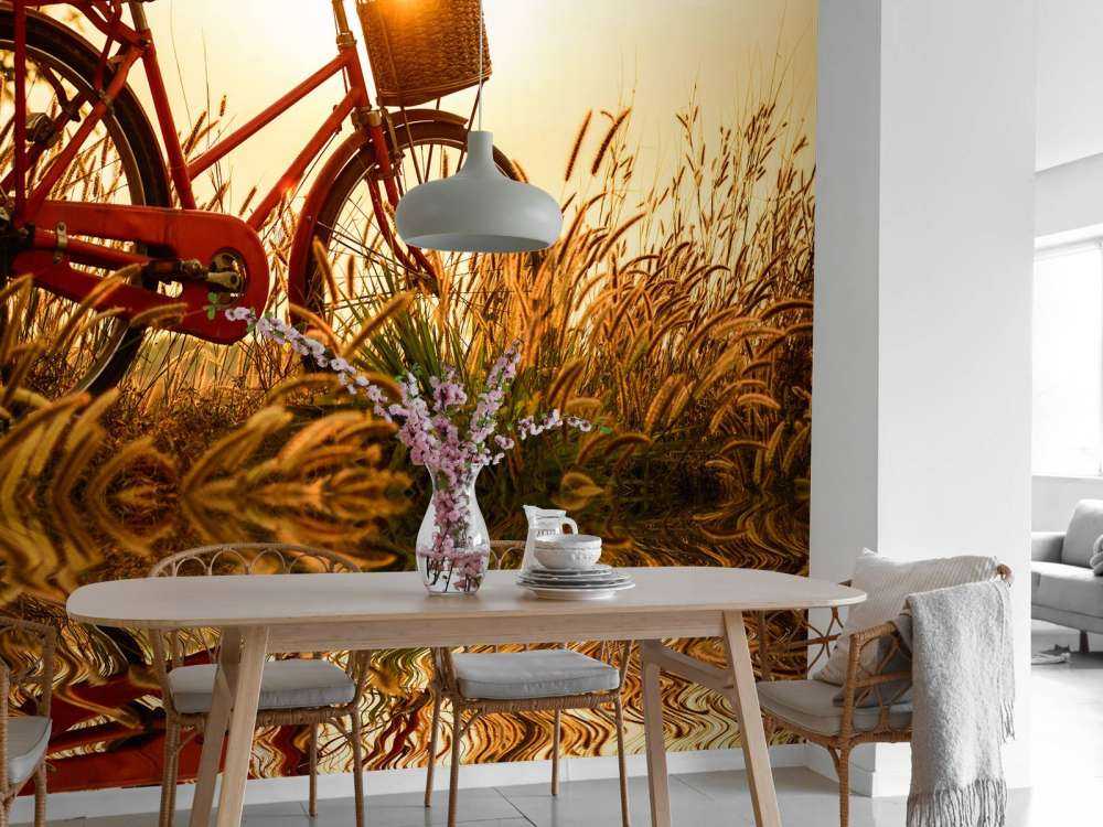 Rower na zachodzie słońca