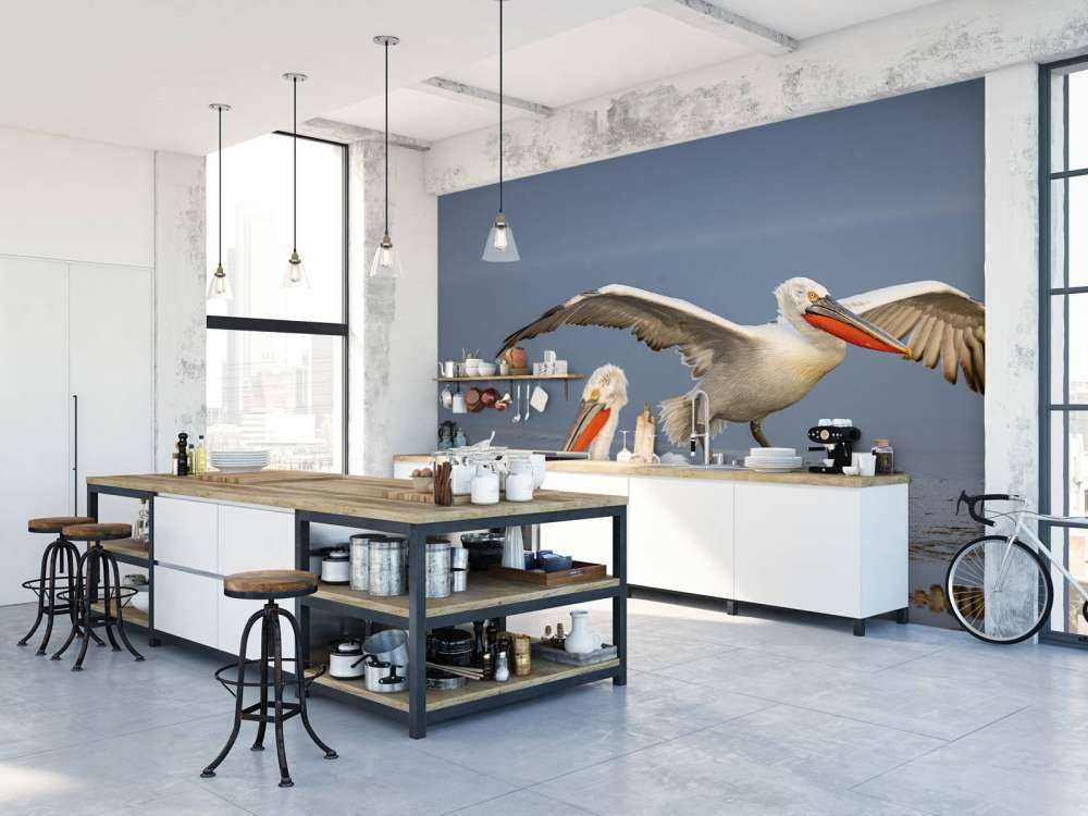 pelikan dalmatyński