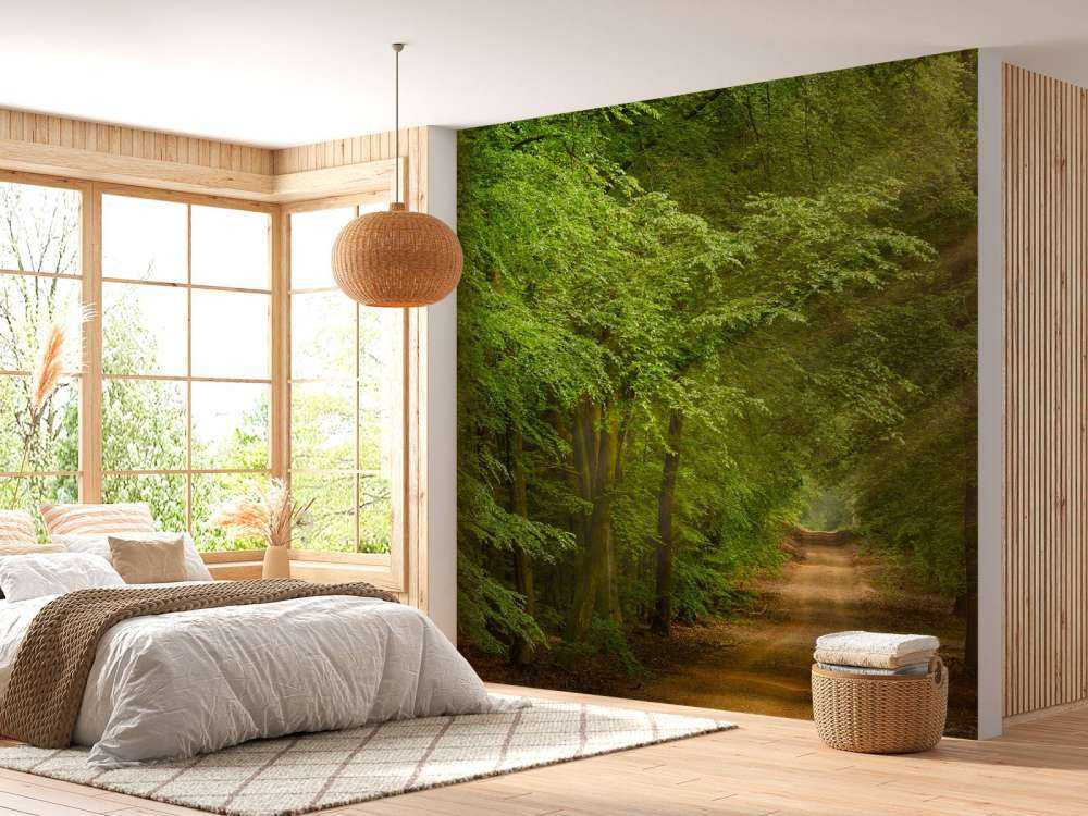 Ropucha w lesie z promieniami słońca