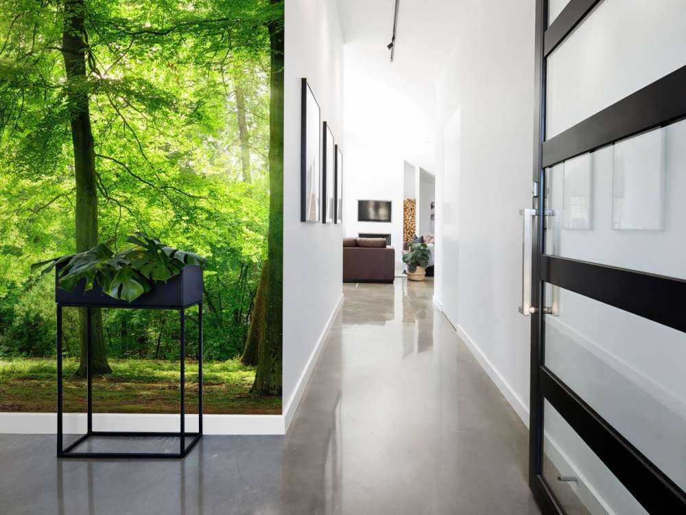 Las z lekką mgiełką