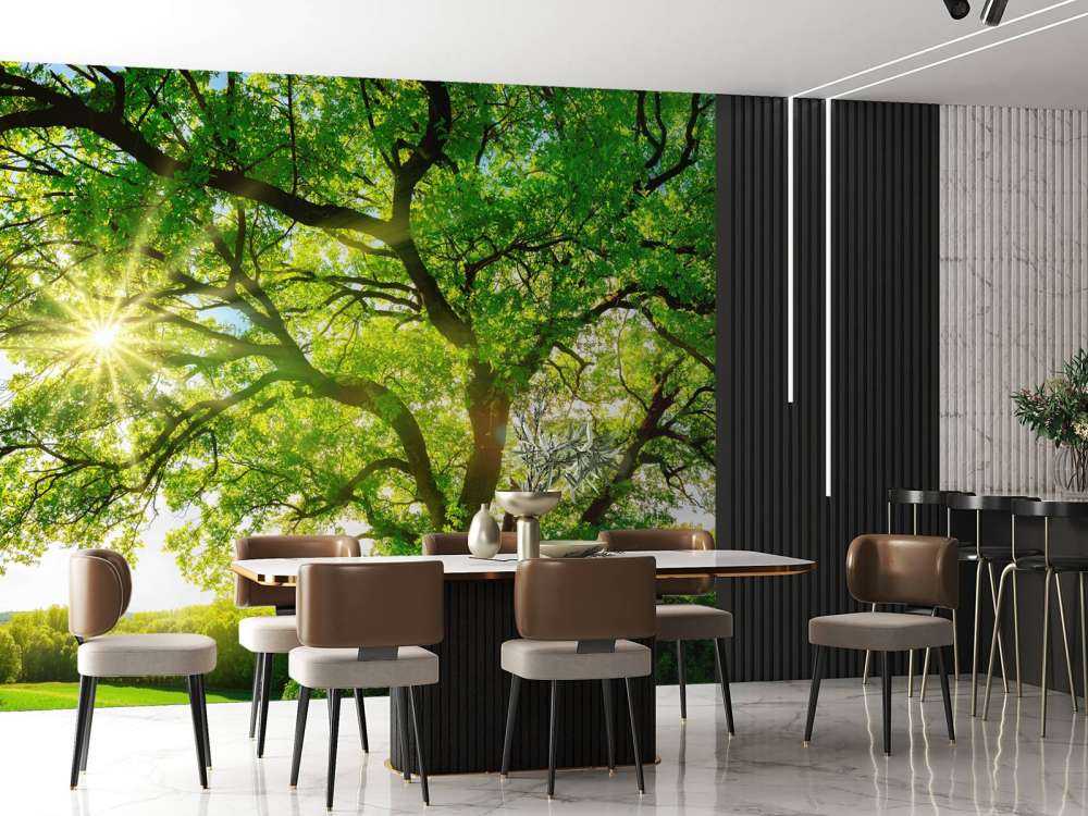 Drzewo z promieniami słońca