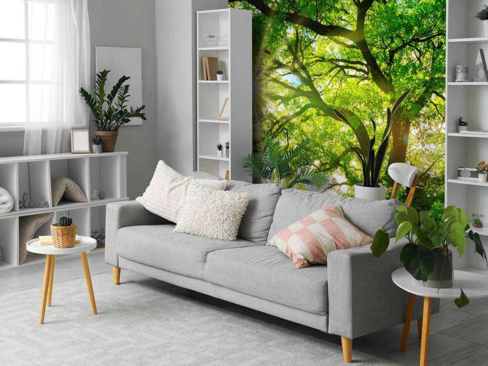 Drzewo z promieniami słońca