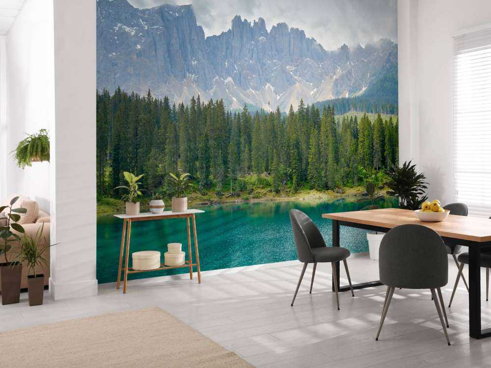 Rząd drzew w pobliżu górskiego jeziora