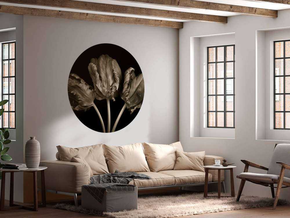 Trzy rokokowe tulipany