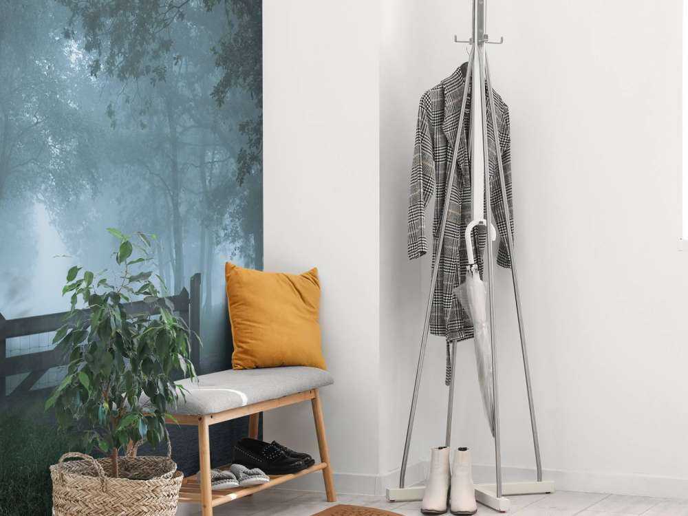 Zamglona ścieżka leśna