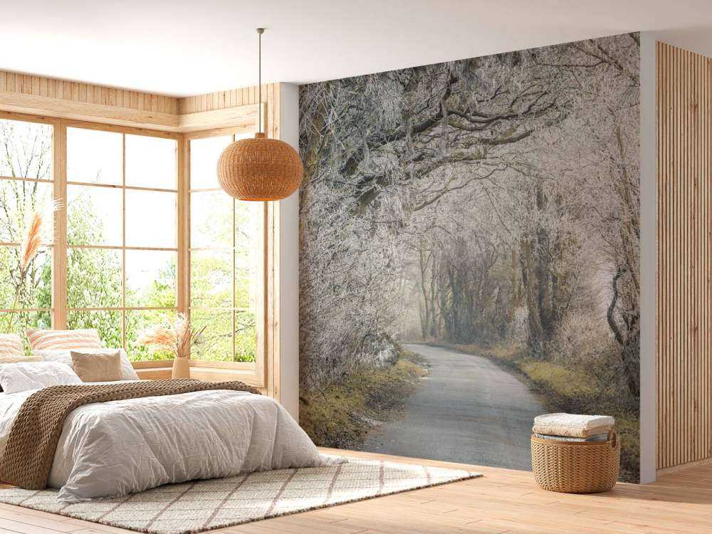 Zamarznięta droga przez las