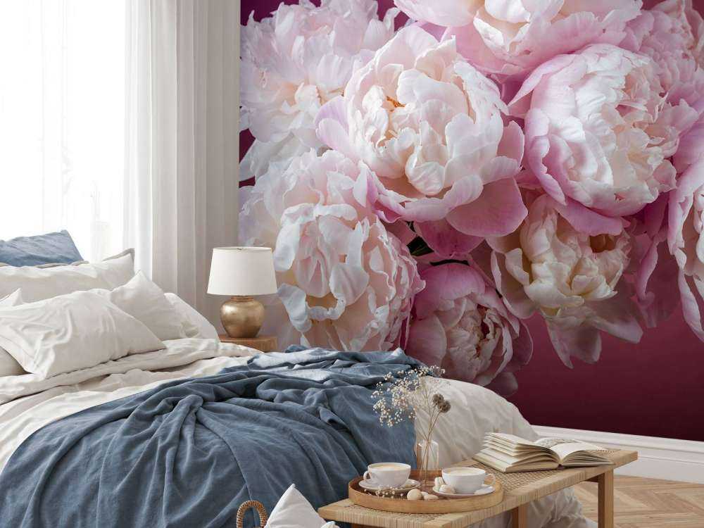 Pęczek różowych piwonii