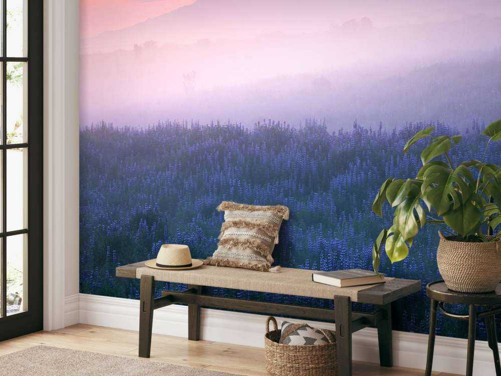 Iceland - Morning Calmness