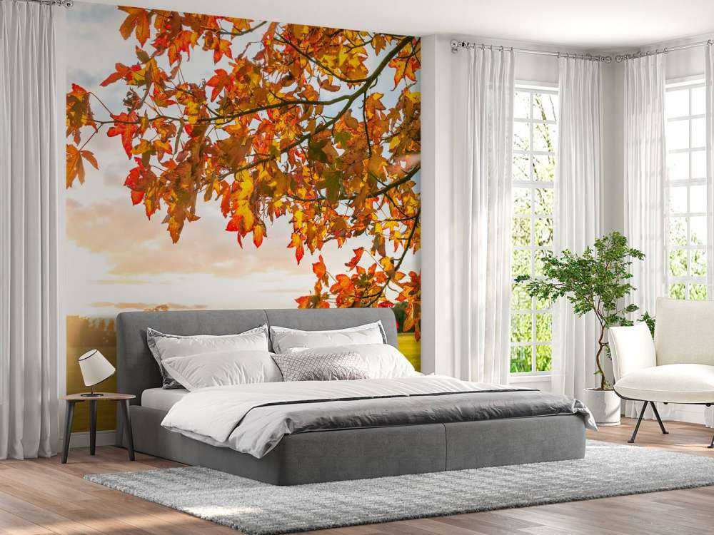 Jesienne drzewo o zachodzie słońca