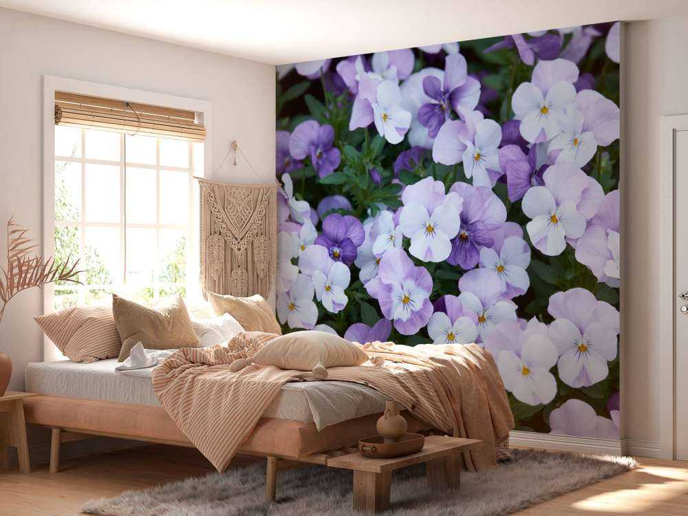 Fioletowobiałe skrzypce