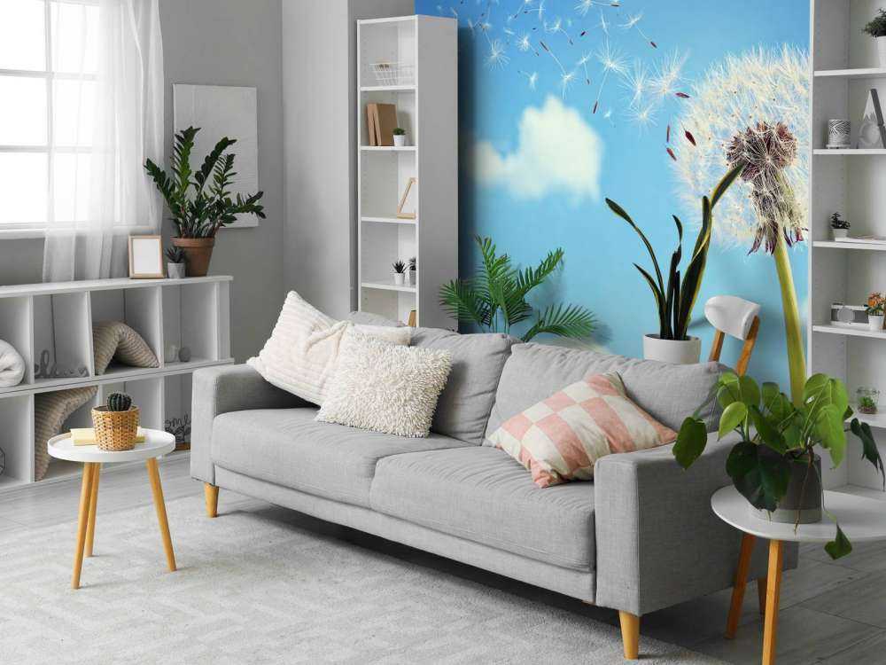 Latające nasiona mniszka lekarskiego