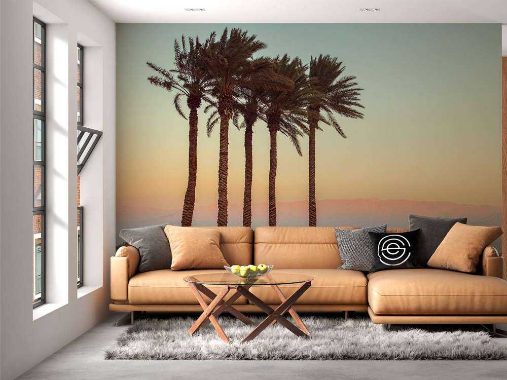 Palmy o zachodzie słońca